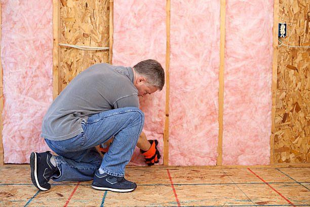 Best Insulation for Existing Homes  in Pequot Lakes, MN