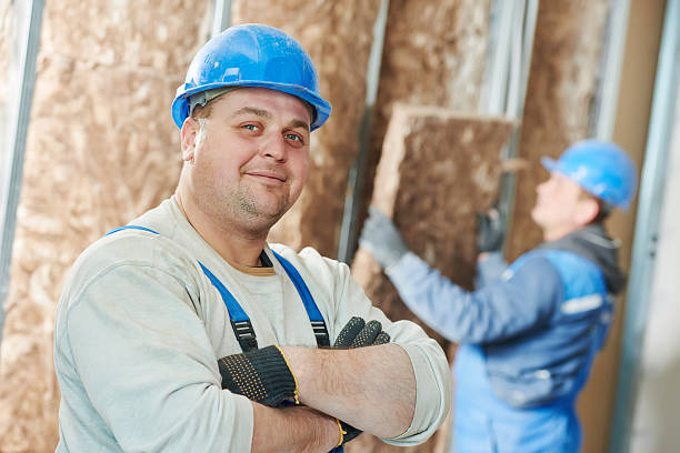 Best Batt and Roll Insulation  in Pequot Lakes, MN